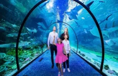 The-National-Aquarium-Abu-Dhabi-Ticket-Offers-Promo-Codes