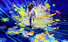 teamlab phenomena coupons codes 001